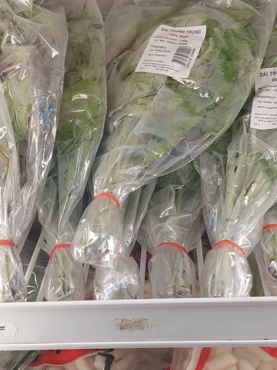 DAI THANH TRUNG Basilico Sacro